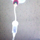 articleImage3199242