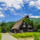 articleImage4316711
