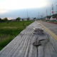 articleImage4556008