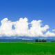 articleImage4639045