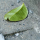 articleImage4726321
