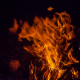 articleImage4778118