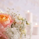 articleImage5015569