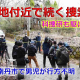 articleImage5335175