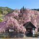 articleImage5339072