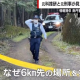 articleImage5339622