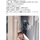 articleImage5394341